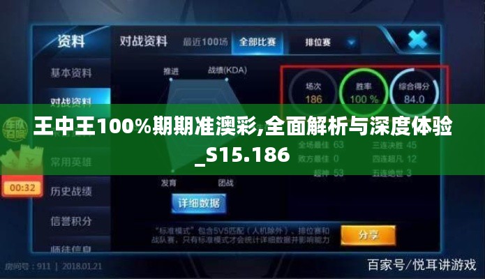 王中王100%期期准澳彩,全面解析与深度体验_S15.186