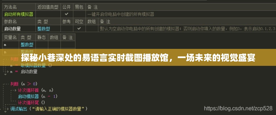 未来视觉盛宴，探秘小巷深处的易语言实时截图播放馆