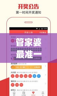 管家婆最准一码一肖,问题总结执行方案_挑战款9.108