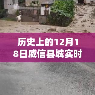 12月18日威信县城实时路况深度解析与介绍