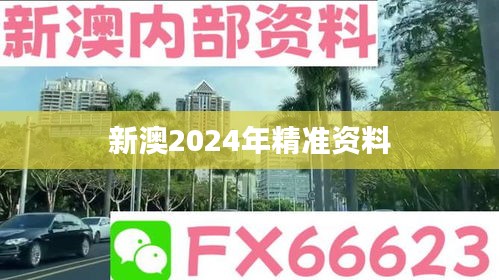 新澳2024年精准资料