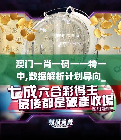 澳门一肖一码一一特一中,数据解析计划导向_基础版7.365