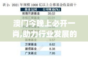 澳门今晚上必开一肖,助力行业发展的强大资源_Tizen18.597