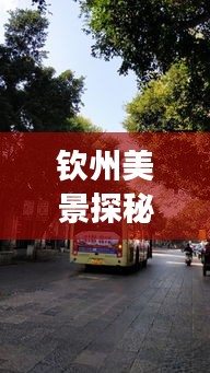 钦州美景探秘，公交车载我追寻历史与宁静的旅程，日期聚焦12月18日