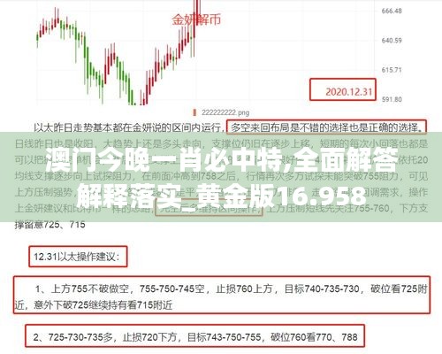 澳门今晚一肖必中特,全面解答解释落实_黄金版16.958