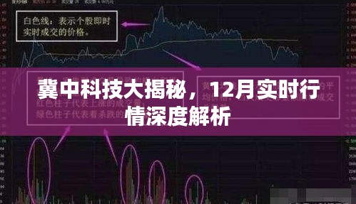 冀中科技深度解析，12月实时行情大揭秘