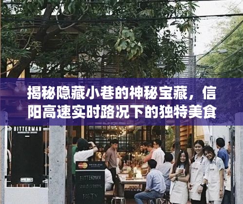 信阳小巷神秘宝藏与高速路况下的美食探秘之旅