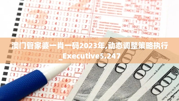 澳门管家婆一肖一码2023年,动态调整策略执行_Executive5.247