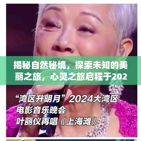 揭秘自然秘境，启程心灵之旅，探索未知美丽之旅（新篇章2024年12月）