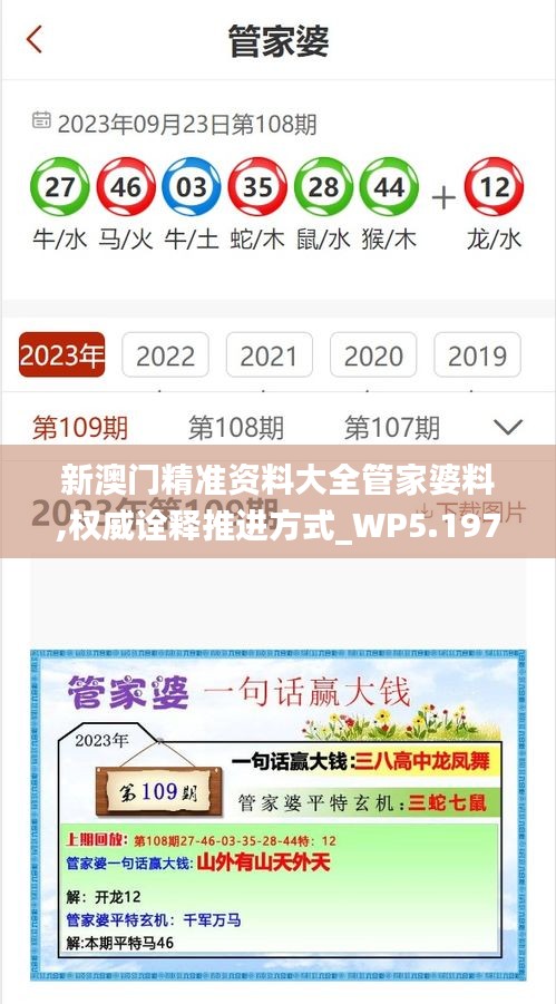 新澳门精准资料大全管家婆料,权威诠释推进方式_WP5.197