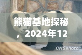 熊猫基地探秘深度解析，实时排队直播体验分享，2024年12月18日
