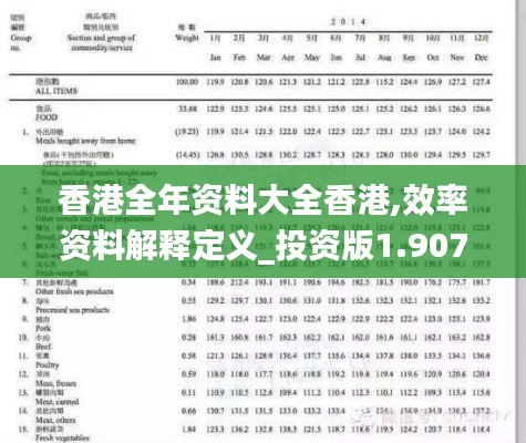 香港全年资料大全香港,效率资料解释定义_投资版1.907