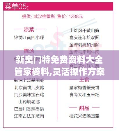 新奥门特免费资料大全管家婆料,灵活操作方案设计_挑战款10.539