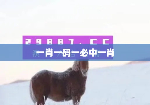 一肖一码一必中一肖