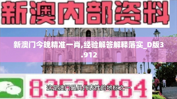 新澳门今晚精准一肖,经验解答解释落实_D版3.912