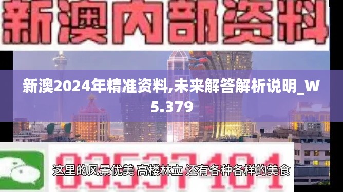 新澳2024年精准资料,未来解答解析说明_W5.379