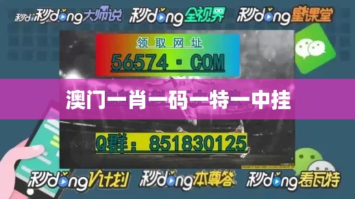 澳门一肖一码一特一中挂