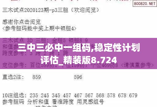 三中三必中一组码,稳定性计划评估_精装版8.724