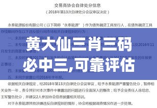 黄大仙三肖三码必中三,可靠评估说明_超值版19.378