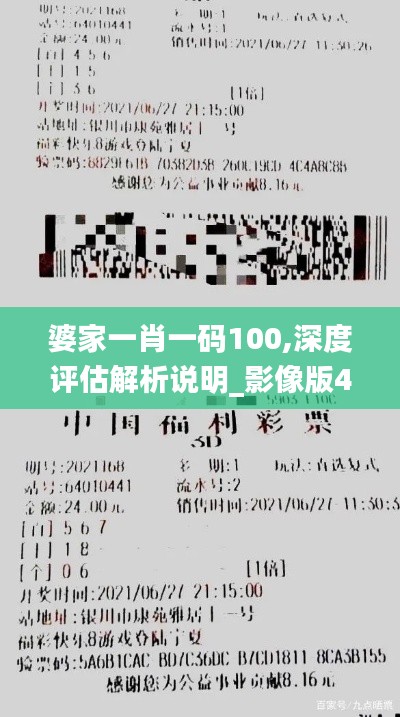 婆家一肖一码100,深度评估解析说明_影像版4.168
