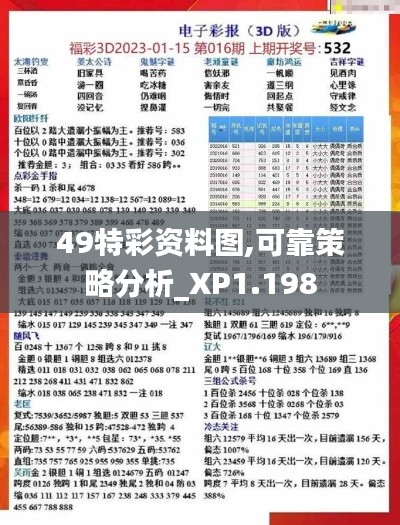 49特彩资料图,可靠策略分析_XP1.198