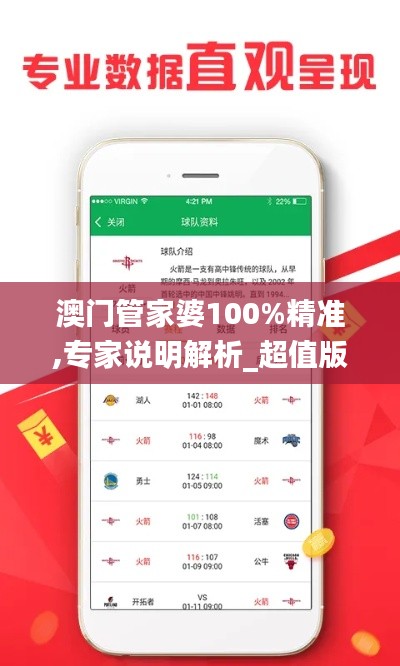 澳门管家婆100%精准,专家说明解析_超值版5.905