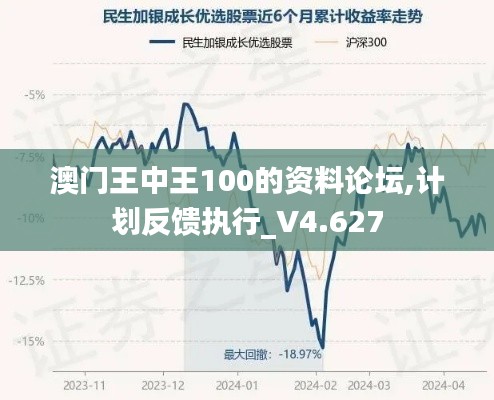 澳门王中王100的资料论坛,计划反馈执行_V4.627