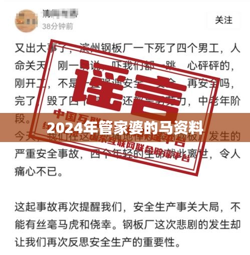 2024年管家婆的马资料