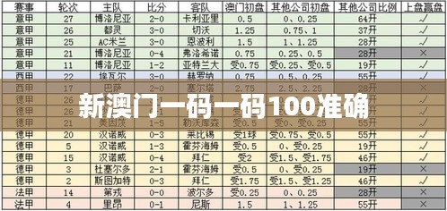新澳门一码一码100准确