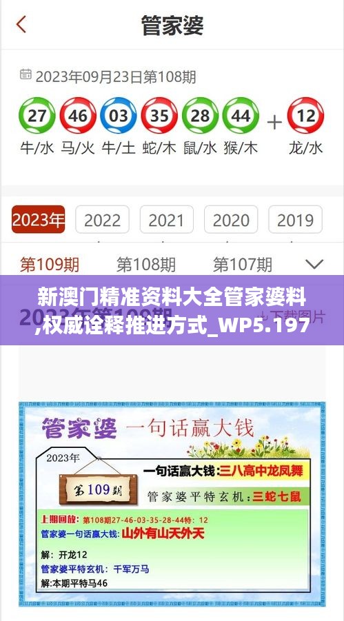 新澳门精准资料大全管家婆料,权威诠释推进方式_WP5.197