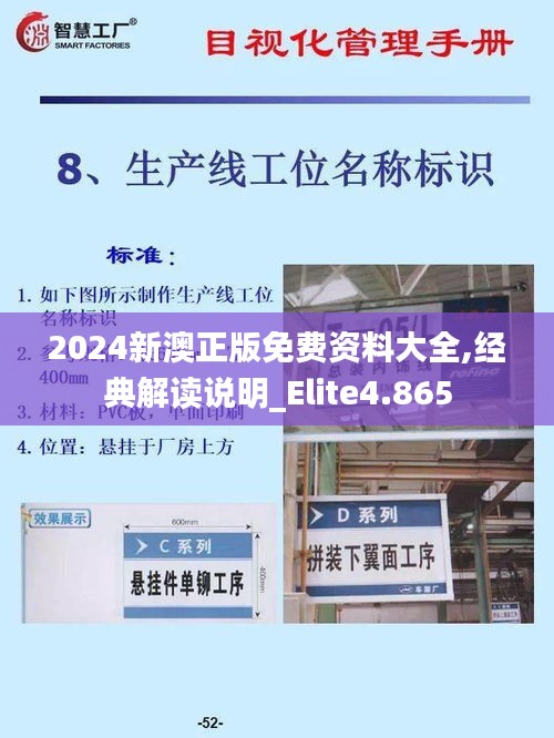 2024新澳正版免费资料大全,经典解读说明_Elite4.865