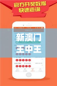 新澳门王中王100%期期中,模型解答解释落实_复古版10.308
