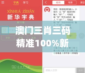 澳门三肖三码精准100%新华字典,权威评估解析_豪华版6.187