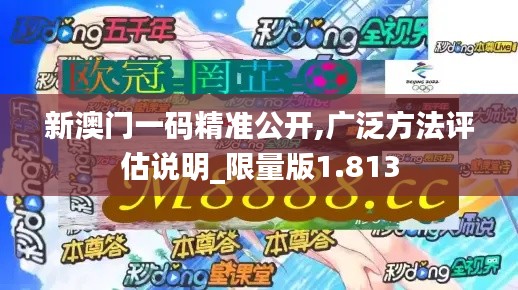 新澳门一码精准公开,广泛方法评估说明_限量版1.813