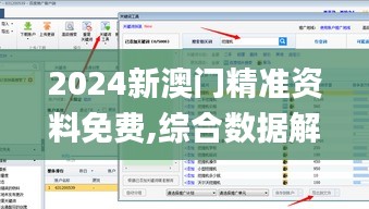 2024新澳门精准资料免费,综合数据解释定义_suite3.360