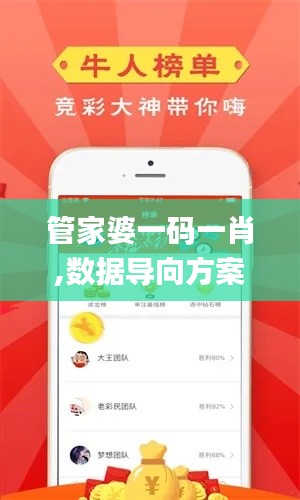 管家婆一码一肖,数据导向方案设计_移动版13.322
