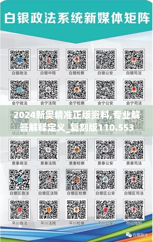2024新奥精准正版资料,专业解答解释定义_复刻版110.553