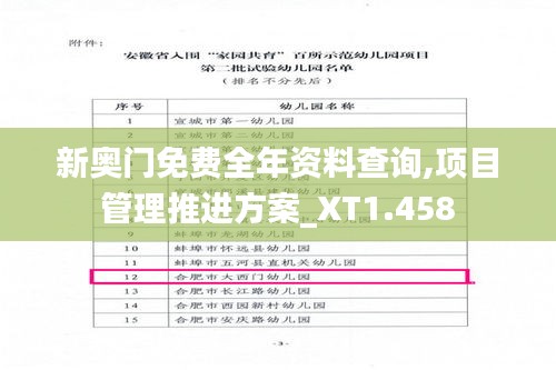 新奥门免费全年资料查询,项目管理推进方案_XT1.458