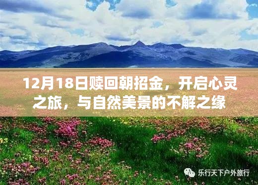 赎回朝招金，启程心灵之旅，与自然美景的奇缘