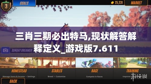 三肖三期必出特马,现状解答解释定义_游戏版7.611