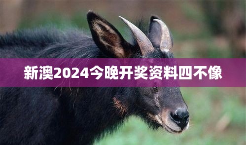 新澳2024今晚开奖资料四不像