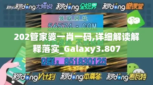 202管家婆一肖一码,详细解读解释落实_Galaxy3.807