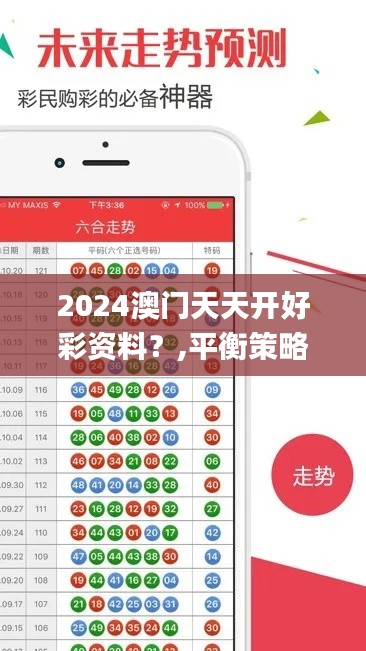 2024澳门天天开好彩资料？,平衡策略实施_手游版6.673