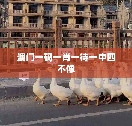 澳门一码一肖一待一中四不像