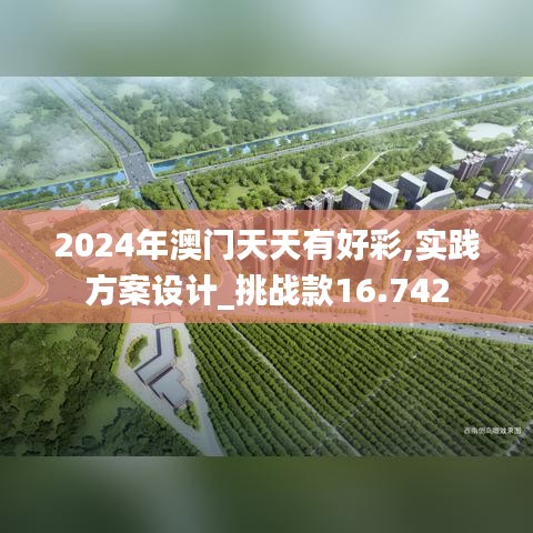 2024年澳门天天有好彩,实践方案设计_挑战款16.742