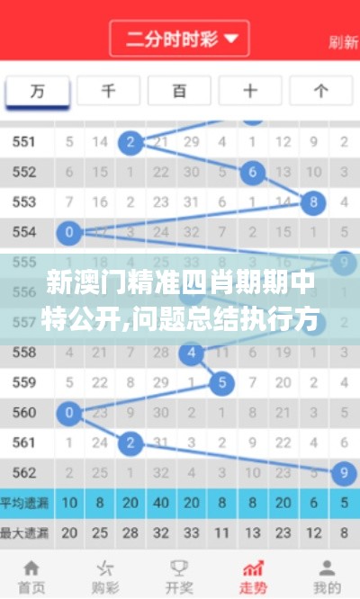新澳门精准四肖期期中特公开,问题总结执行方案_P版7.345