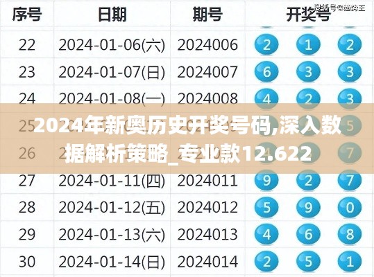 2024年新奥历史开奖号码,深入数据解析策略_专业款12.622