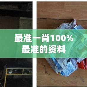最准一肖100%最准的资料