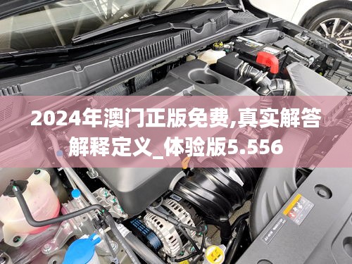 2024年澳门正版免费,真实解答解释定义_体验版5.556