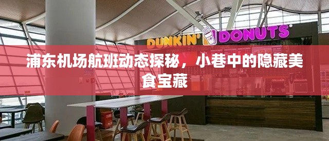 浦东机场航班动态探秘，小巷美食宝藏揭秘